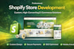 build a custom shopify store for your business