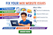 fix wix bug mobile layout speed maintenance email issue technical seo website
