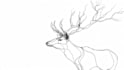 do lineart illustrations in high quality