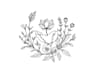 design minimal feminine botanical boho rustic logo