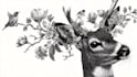 draw an animal and botanical illustration