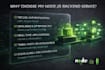 develop node js backend, rest api, express js and mongodb