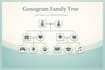 create custom printable family tree chart and ancestry design