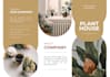edit photos, brochure, logo