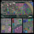 design custom maps, boundaries, vector data with a brief description