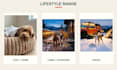 create authentic pet ugc videos with real dogs