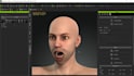 do 3d model rigging, facial rigging iclone vtuber vrchat mmd sfm mmd nsfw