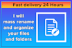 bulk rename files professionally with high accuracy in 24 hours
