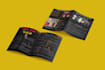design brochure, ebook, lead magnet, booklet using canva
