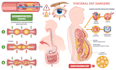 design annotated conceptual anatomy illustrations