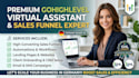 germany gohighlevel virtual assistant gohighlevel sales funnel highlevel expert