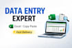 do PDF to excel data entry and copy paste with in 24 hours