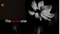 design eye catching you tube thumbnail