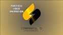 create a professional particle logo animation