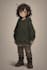 create 2d character rigged with moho pro