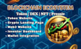 build develop clone full blockchain ecosystem token dex nft presale website