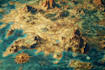 do fantasy maps and city maps
