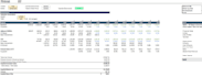 build a professional dcf financial model and valuation for your business
