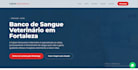 build a professional and responsive landing page