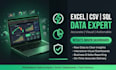 do excel, CSV, and sql data analysis and build interactive dashboards