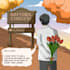 drawing illustration design character