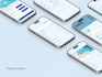 develop your mvp app or web platform for startup