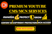 youtube cms and mcn expert, monetization and growth