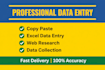 do accurate data entry, copy paste, excel, copy paste