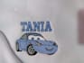 do expert custom embroidery digitizing in wilcom dst pes