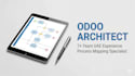 provide a professional odoo business analysis and process mapping