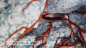 create 3d pharmaceutical moa biotech healthcare medical animation video