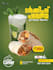 design professional social media posters