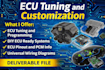 automotive pcb design, firmware coding and enclosure development for ecus