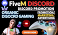 discord server promotion  fivem, rust, dayz, server promotion fivem server ads