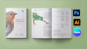 design and redesign curriculum plan educational textbook workbook, manual, KDP