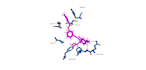 virtual screening docking of protein ligand docking