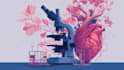 do medical and scientific illustrations