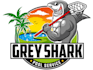 do eye catching pool service logo design