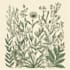 create a realistic botanical drawing