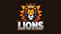 make eye catching king lion head logo in my style