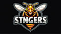 make an amazing angry stingers logo with express delivery