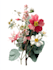 do botanical illustration, botanical family paintings