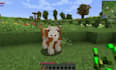 develop custom minecraft plugins, modpacks, and sponge mods