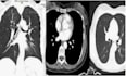help you better understand your imaging results