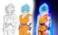 draw a custom dragon ball illustration