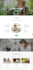create cleaning website, house cleaning, office cleaning website