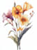 design vintage botanical illustration