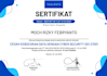 web development and web services security