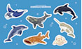 draw cute and funny stickers, characters, animals, objects