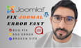 setup your joomla website errors bugs and issues to wordpress with full design